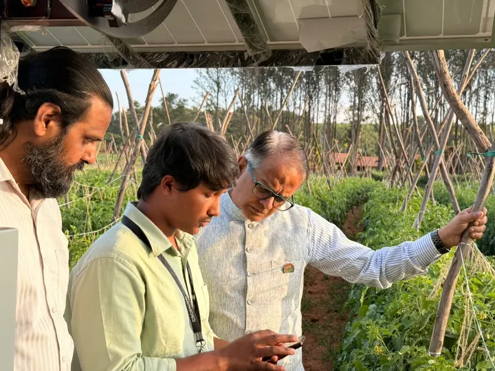 Three people looking closely at plants in a field, one holding a phone