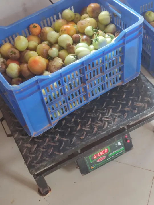 A crate of tomatoes on a weighing scale