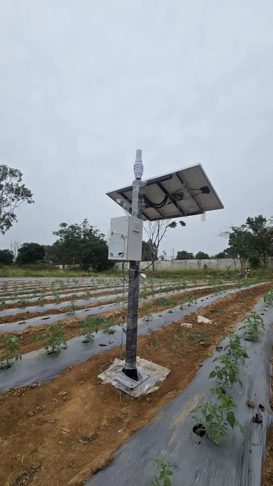 A NEST station standing over mulched crop beds